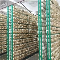 食用菌蘑菇栽培架 农业设施 菌包菌棒生长网架