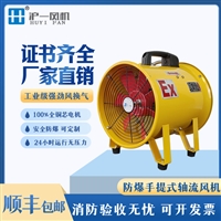 手提式防爆轴流风机厂家BSFT-300 电压220V 功率550W