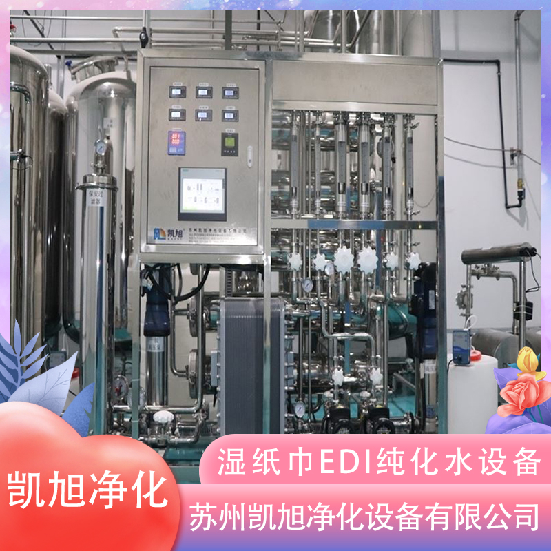 濕紙巾EDI純化水設備 KX2 中型 半自動化程度 304衛生級 電壓220V/380V