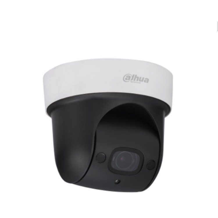 DH-SD-29D204UE-HNG-WD 大华2寸200万4倍红外WIFI球机