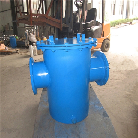 不锈钢篮式过滤器 玉树泳池毛发过滤器 碳钢法兰毛发收集器