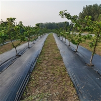 江苏花椒园除草膜什么材质好