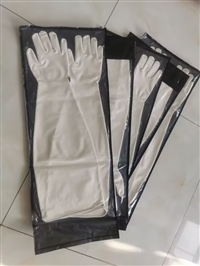 CSM隔离器防化手套 氯磺化橡胶防护手套 海普隆材质手套10Y1532