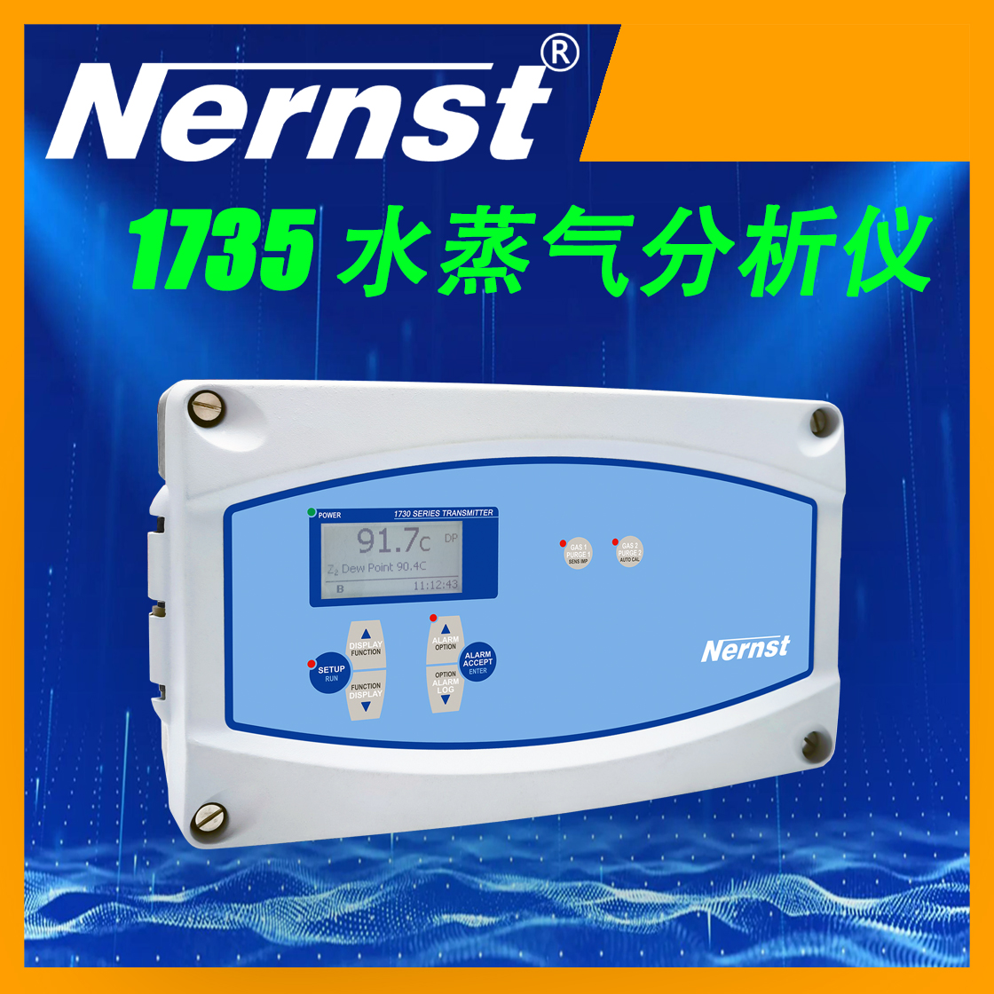 Nernst 一台仪器带2支探头直插式在线高温水蒸气分析仪1735