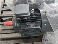 山东开元电机有限公司YBM2-180M-2电动机