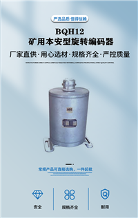 BQH12矿用本安型旋转编码器 增量型旋转编码器 电压DC12V