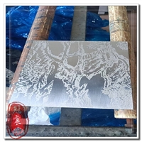 不锈钢蚀刻过滤网 金属腐蚀漏斗网 316茶壶滤网