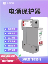 CITEL电源防雷器DAC1-13VGS-10-3201+2交流电涌电涌保护器