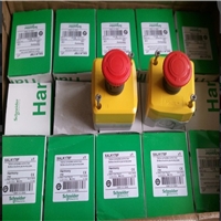 XS618B4NAL2施耐德开关