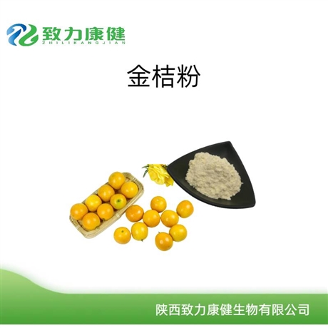 金桔粉 金桔果汁粉 99%水溶 金桔冻干粉 多种用途 金桔果粉