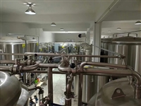 宿州小型精酿啤酒设备日产2000升