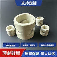 陶瓷鲍尔环 散堆填料 分离效率高 填料塔使用 群星供应