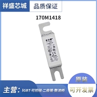 巴斯曼熔断器    170M1311 170M1312 170M1313