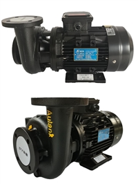 RGP-10-120泵 耐高温泵 模温机泵