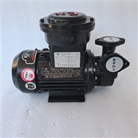 WM-05泵 ALK高温泵 热油循环泵