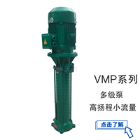 高扬程管道泵 VMP80-19 多级锅炉泵