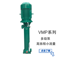 立式多级泵VMP40-25