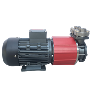 不锈钢磁力泵 MDW-40-180 高低温磁力驱动泵