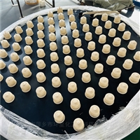 PVDF材质DN2800直径塑料泡罩塔板