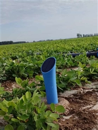 智能农业测量空气温度M1数字土壤墒情仪