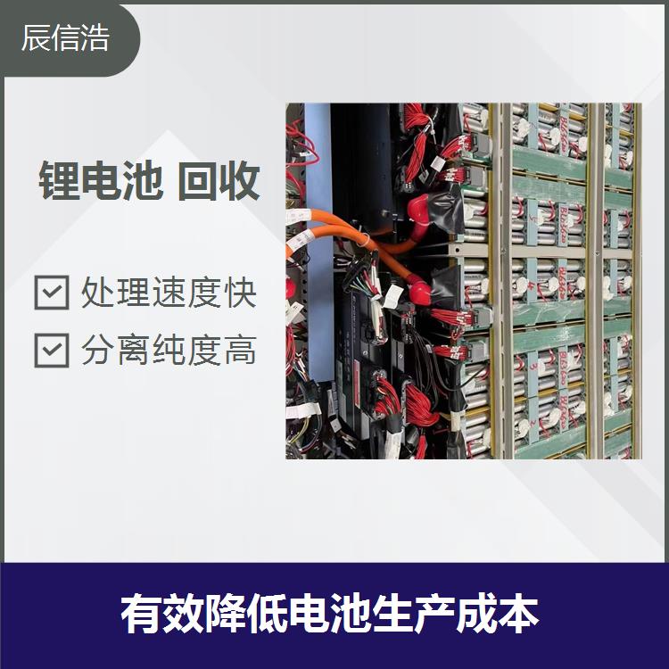 高价废聚合物电池回收 处理速度快 避免污染土地资源