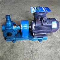  厂家直供液压齿轮泵 安装简单液压齿轮泵 YCB1-0.6圆弧齿轮泵