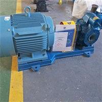 原厂质保液压齿轮泵 体积小液压齿轮泵 YCB3.3-0.6 圆弧齿轮泵