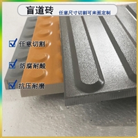 高铁地下通道盲道砖批发定制 众光20/25厚盲道钉/盲道条直供