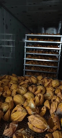 空气能热泵瓜蒌烘干机 大小型定做 烘干效率高 品质工艺成熟