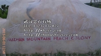 武汉人物动物石雕制作/武汉江夏人物动物石雕产品