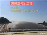 塑料猪场奶牛池土工膜2mm粪污发酵塘防渗