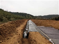 塑料养殖防水布0.6mm对虾鱼类养殖池防渗