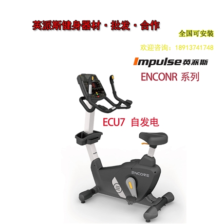 太仓健身器材英派斯ECU7商用自发电立式健身车免费设计安装