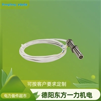 Tsi传感器磁性传感器 ZS-04-075-5000-005控制转速的直观眼睛