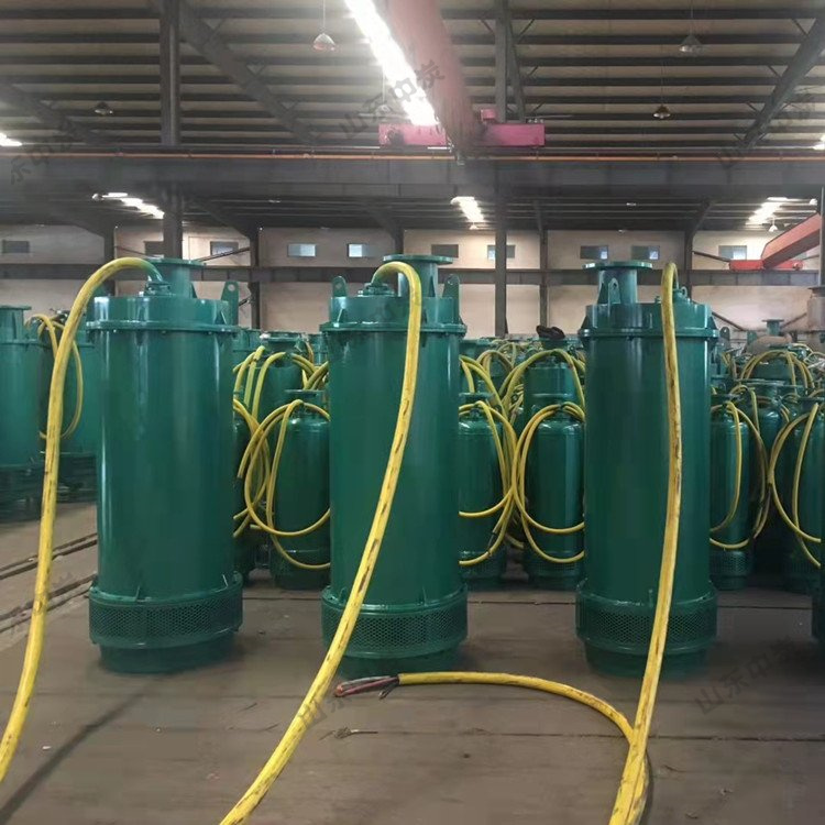 易于维修潜水泵 结构简单潜水泵 厂家供应排沙排污潜水泵