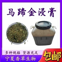 马蹄金浸膏比重1.0-1.3 供应马蹄金浓缩液 小金钱草提取液厂家