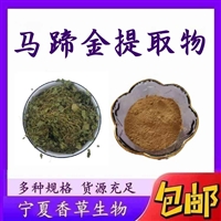 马蹄金提取物比例浓缩10:1马蹄金粉浸膏粉 小金钱草提取物