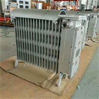 持续散热能力强矿用取暖器  NZHE-2/127矿用取暖器 