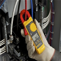 福禄克 Fluke 325 真有效值钳型表 