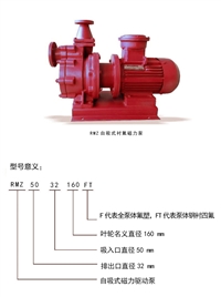 RMZ自吸衬氟磁力泵