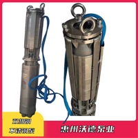 不锈钢海水泵 GDF80-21 双相钢海水泵