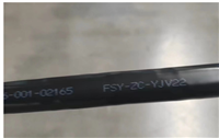 防鼠蚁电力电缆FSY-ZB-YJV22