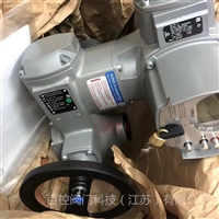 德国奥玛电动执行机构欧玛电动执行机构Z031.408接口板熔断器FF16A 500V