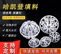 脱硫塔哈凯登填料50、76、95环保球 订制各种规格环保球