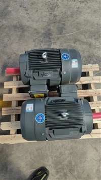 山东开元电机有限公司YE3-315L1-6电机