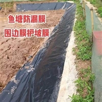 草鱼池养殖防水布40丝规格人工鱼池防渗黑膜