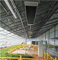 黑龙江哈尔滨蔬菜大棚取暖，阳光辐射式电热板，电热器，电热幕