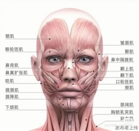 甘肃王耀岭徒手骨雕培训班