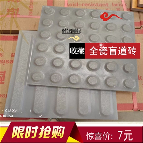 300盲道砖 全瓷质高温陶瓷地砖 行进 止步瓷砖