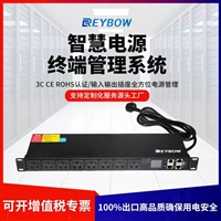 REYBOW 智能PDU机柜插座/10A8位智慧电源终端管理系统